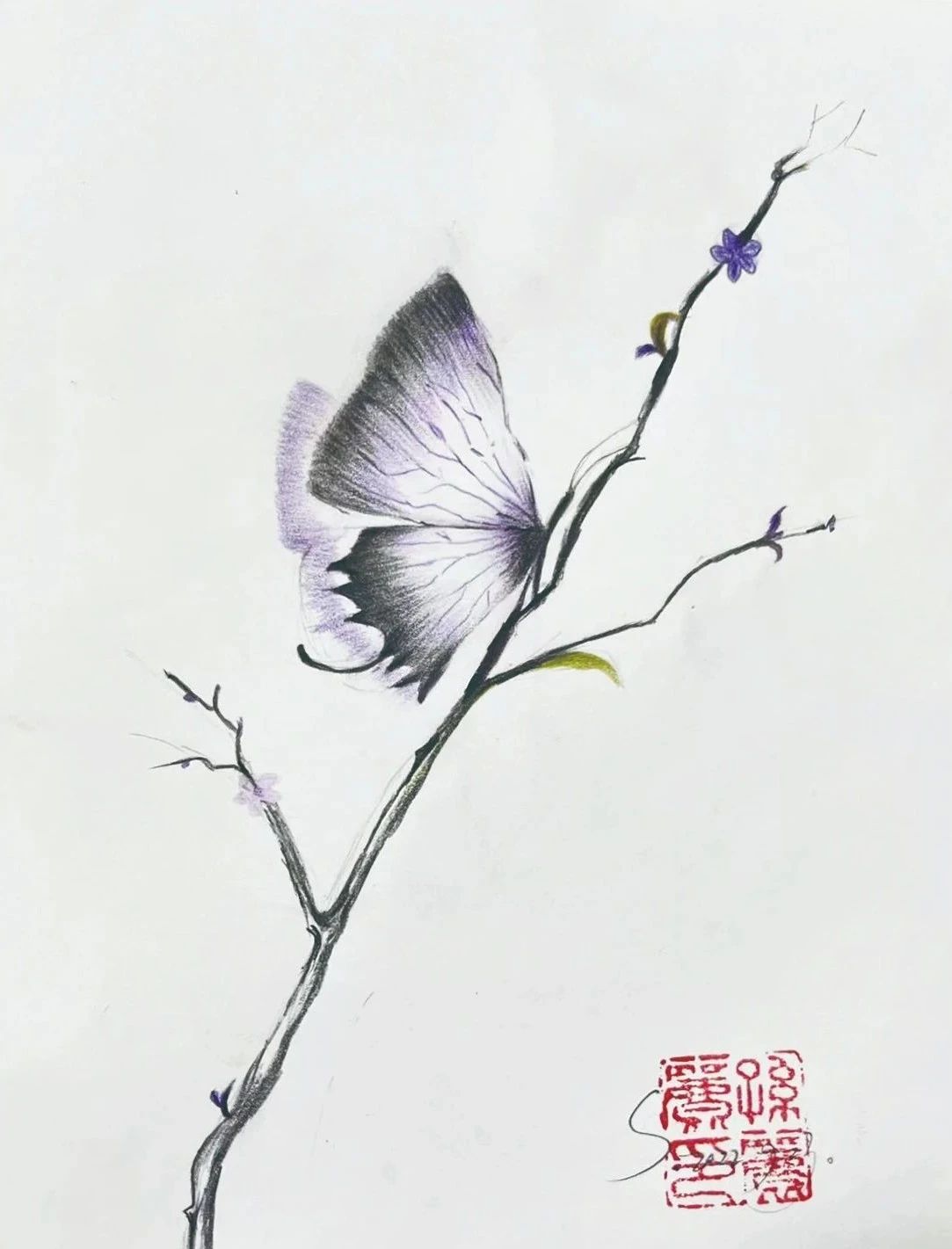 105.jpg