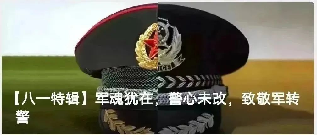 1704360295589164.jpg