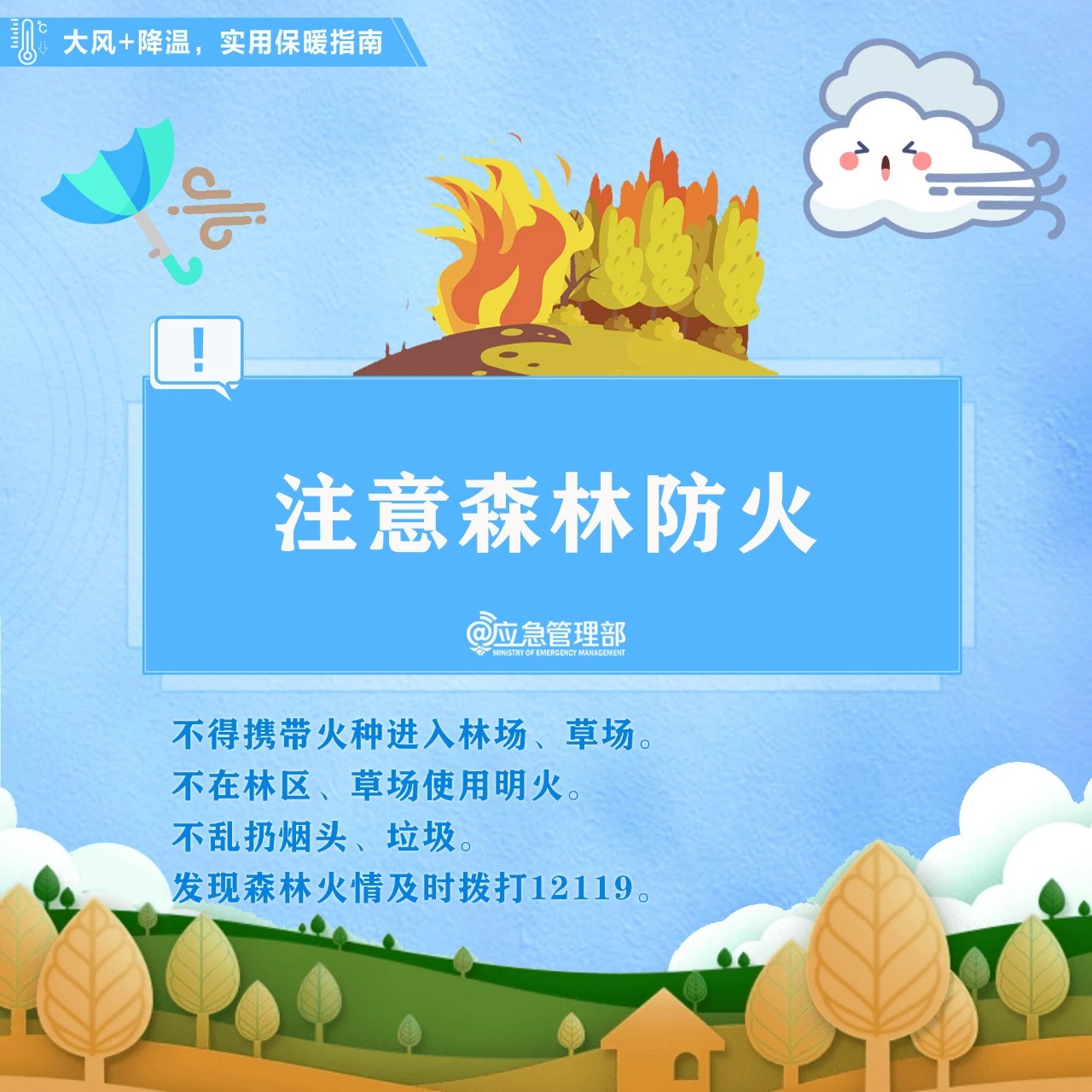555.jpg
